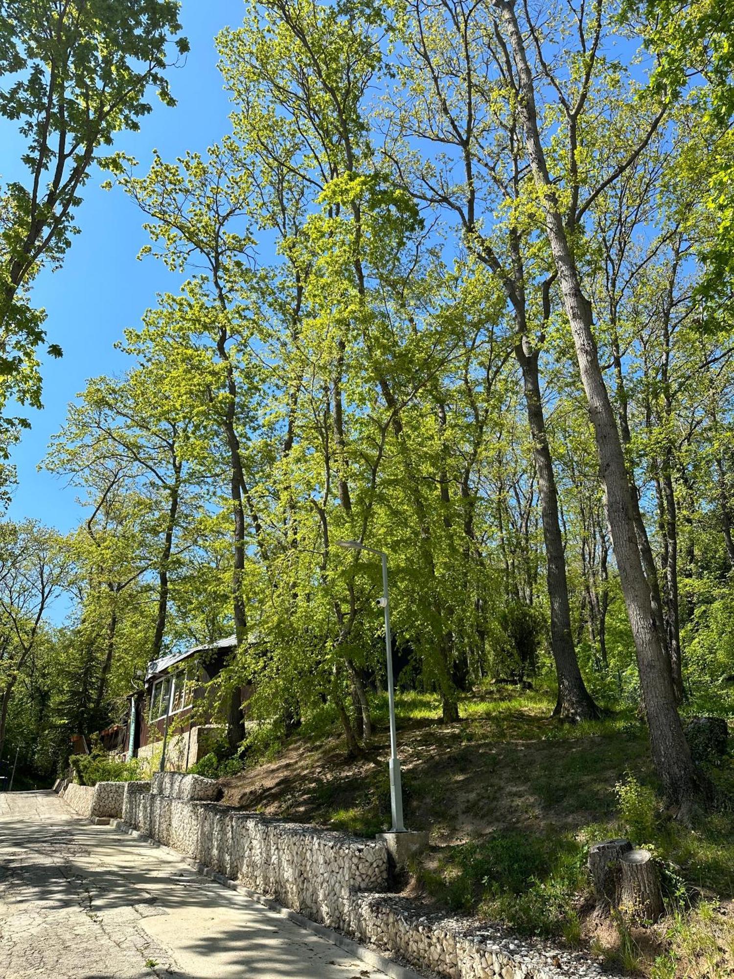 Sirena Holiday Park Kamchia (Varna) Exterior foto